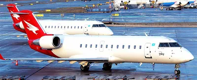 SKYBUS могут запретить полеты в Батуми