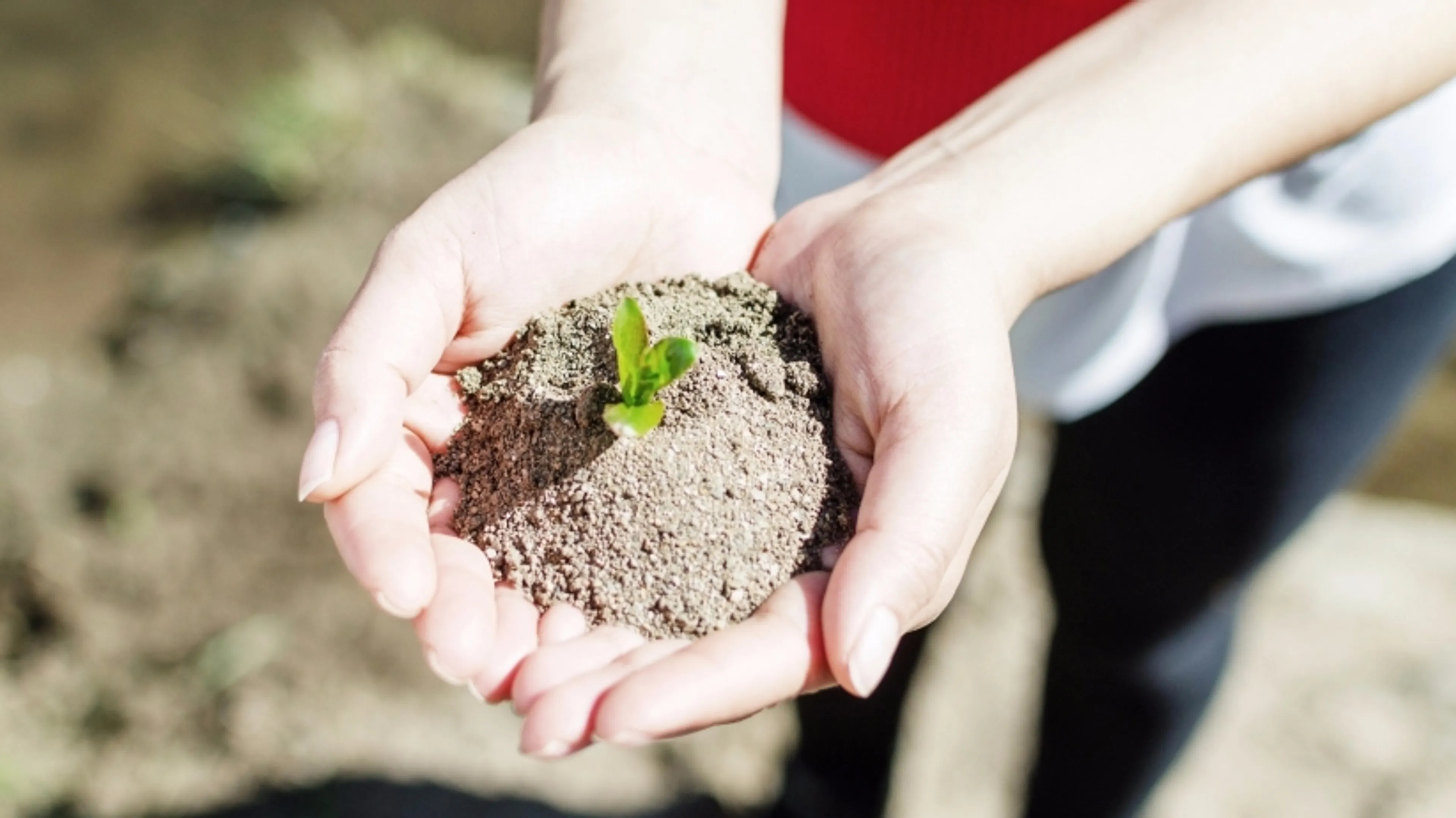 Капитал - 10 лучших стран для социального предпринимательства