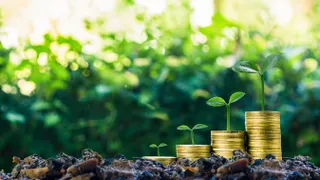 Капитал - Возможности зеленого финансирования для бизнеса