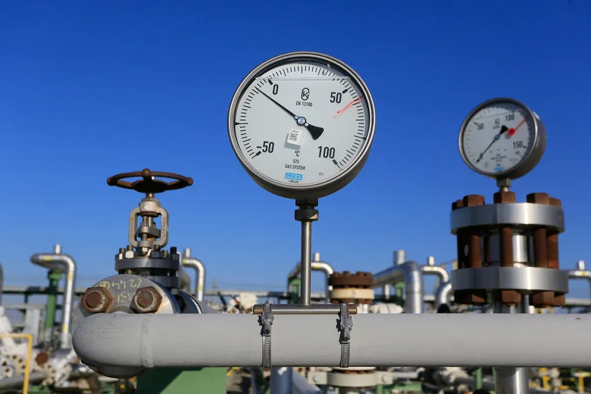 Фото: Руслан Пряников