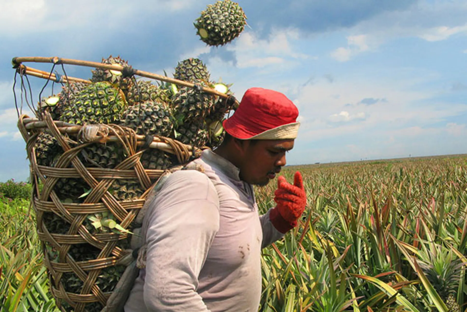 Капитал - Атырауская область договаривается с ЮАР о поставках фруктов