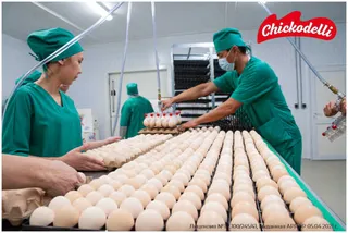 Капитал - В Казахстане начал работу крупнейший птицекомплекс