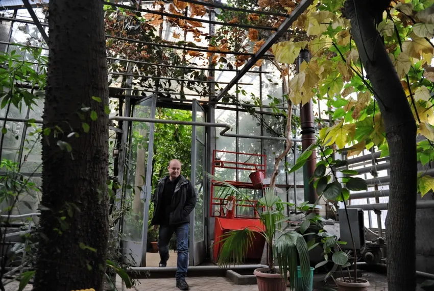 Капитал - В Ботаническом саду в Алматы построят смотровой мост