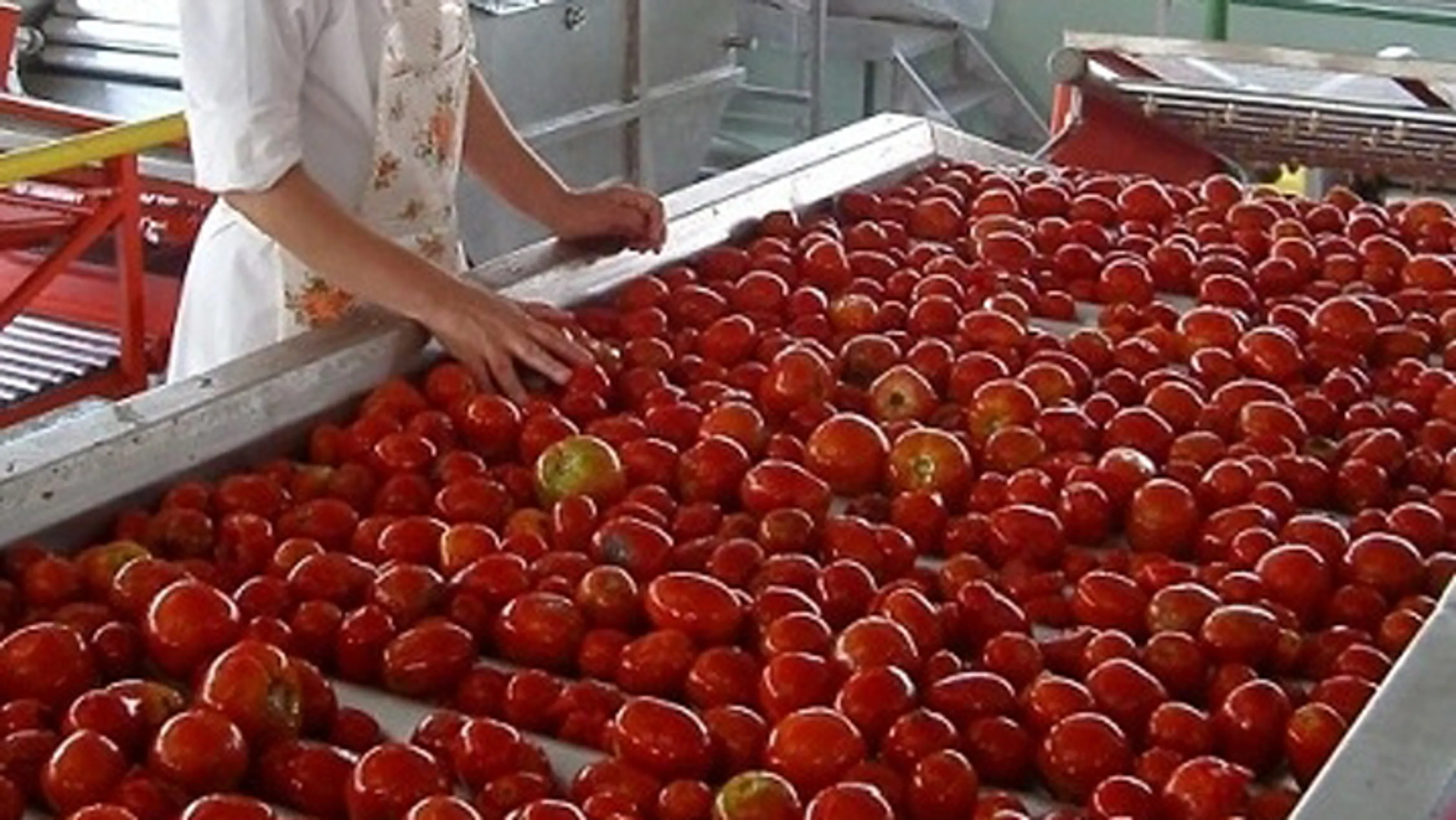 Капитал - Израильский фонд намерен инвестировать в агробизнес РК $1 млрд