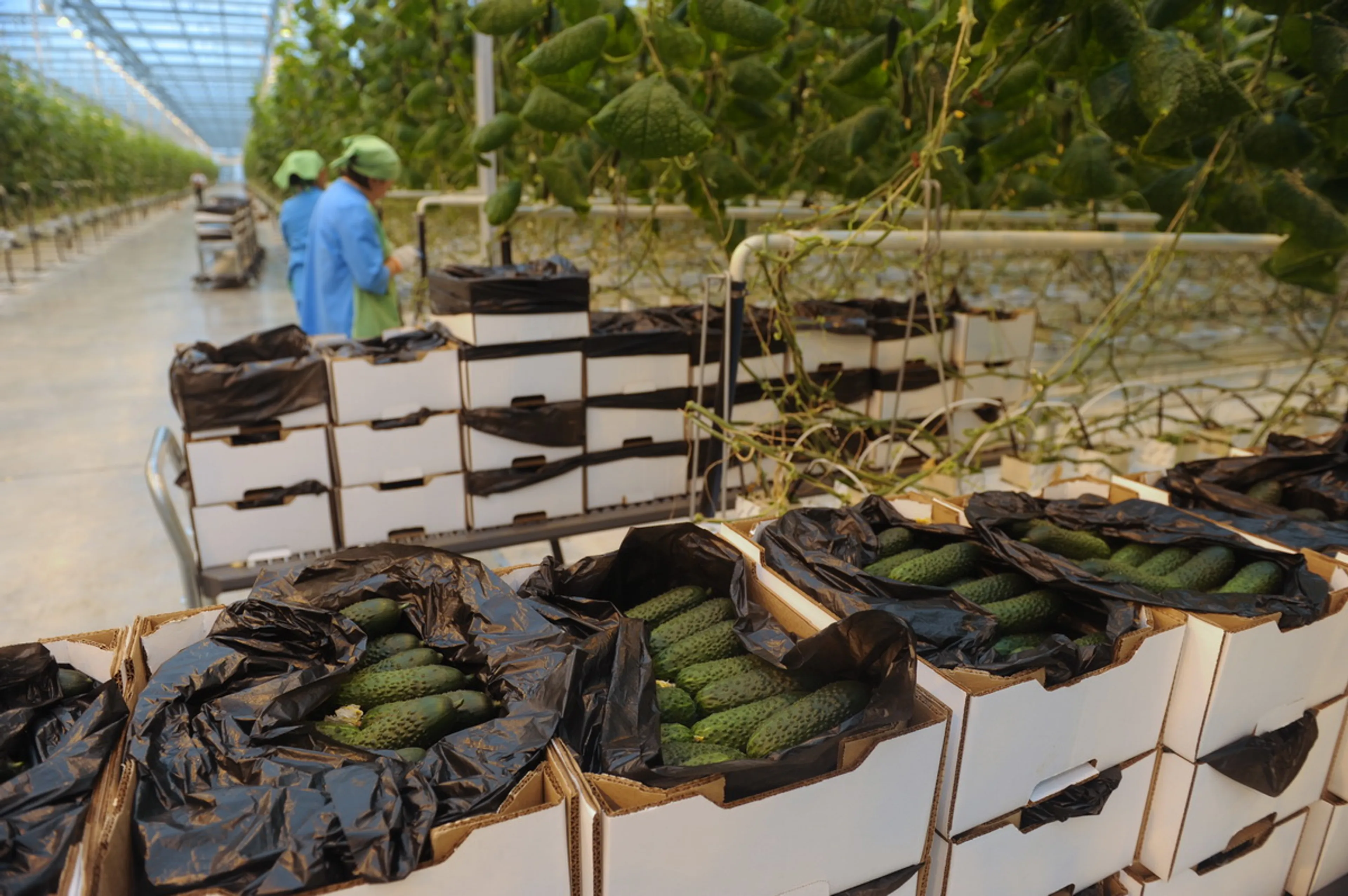 Капитал - Казахстан теряет рынок СНГ