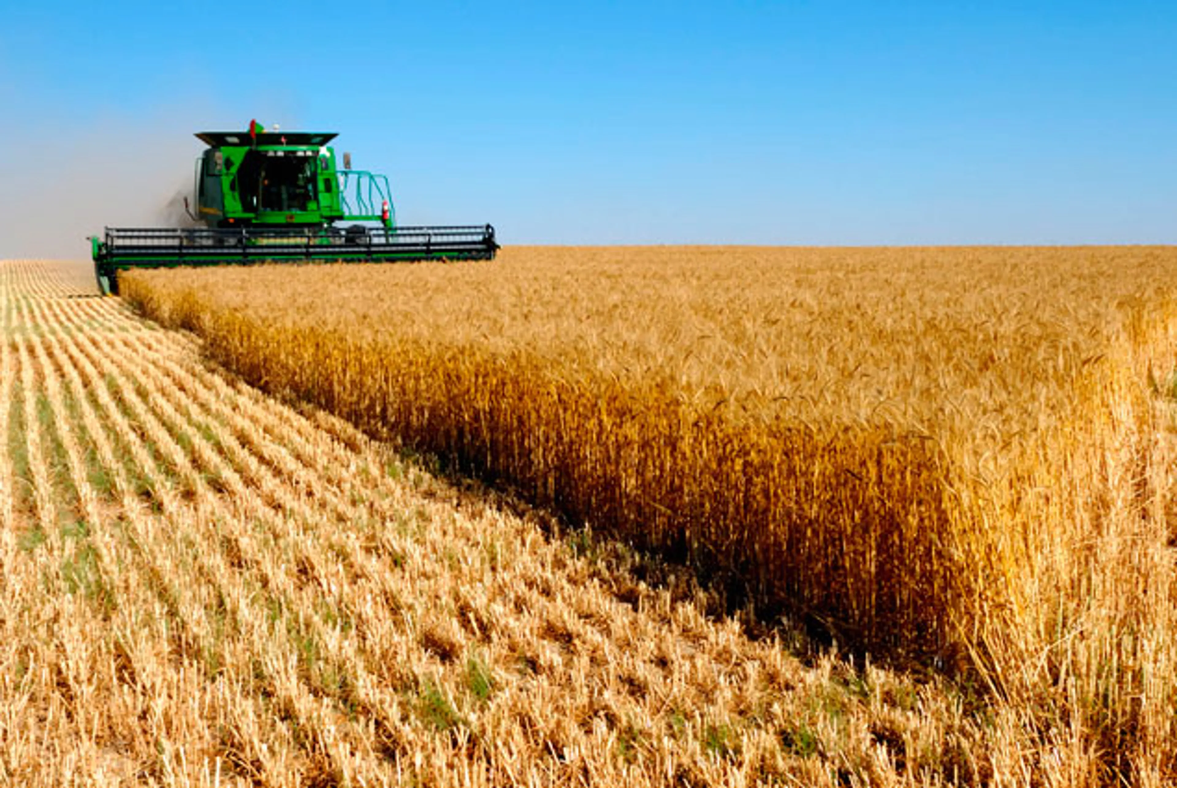 Капитал - Подготовиться к уборочной кампании