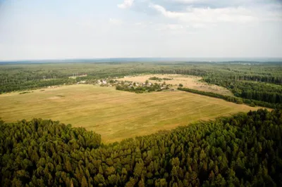 Выявлено более 2 млн гектаров неиспользуемых земель