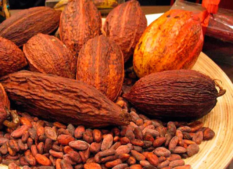 Капитал - Какао на всех не хватит