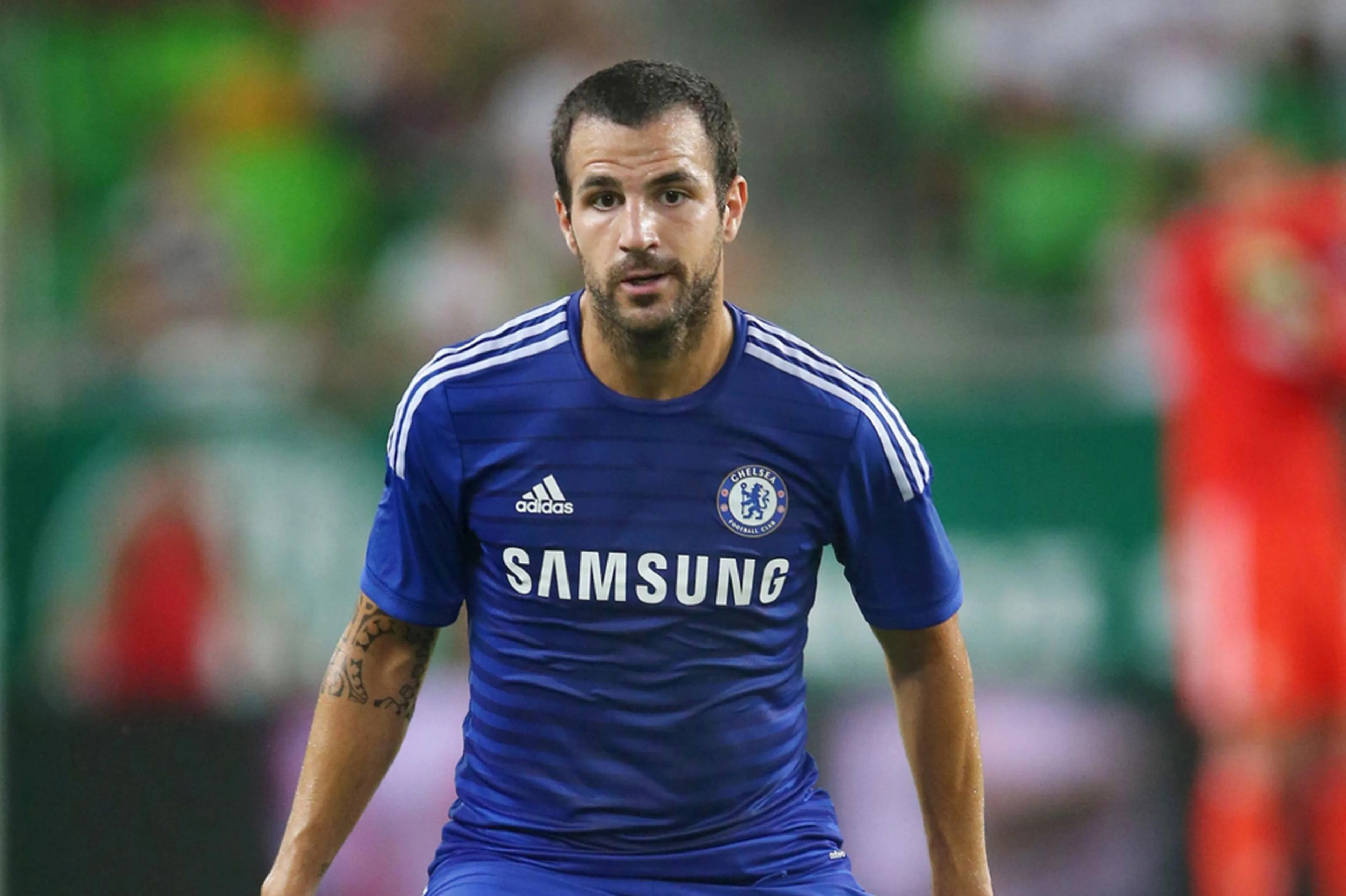 Капитал - Сеск Фабрегас может пропустить матч с «ПСЖ»