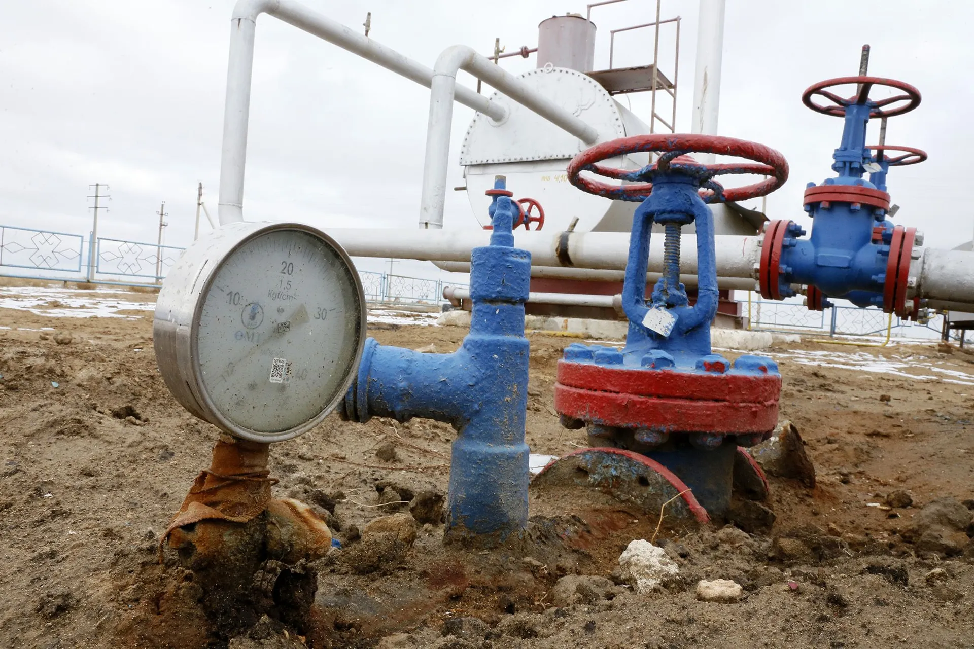 Фото: Руслан Пряников