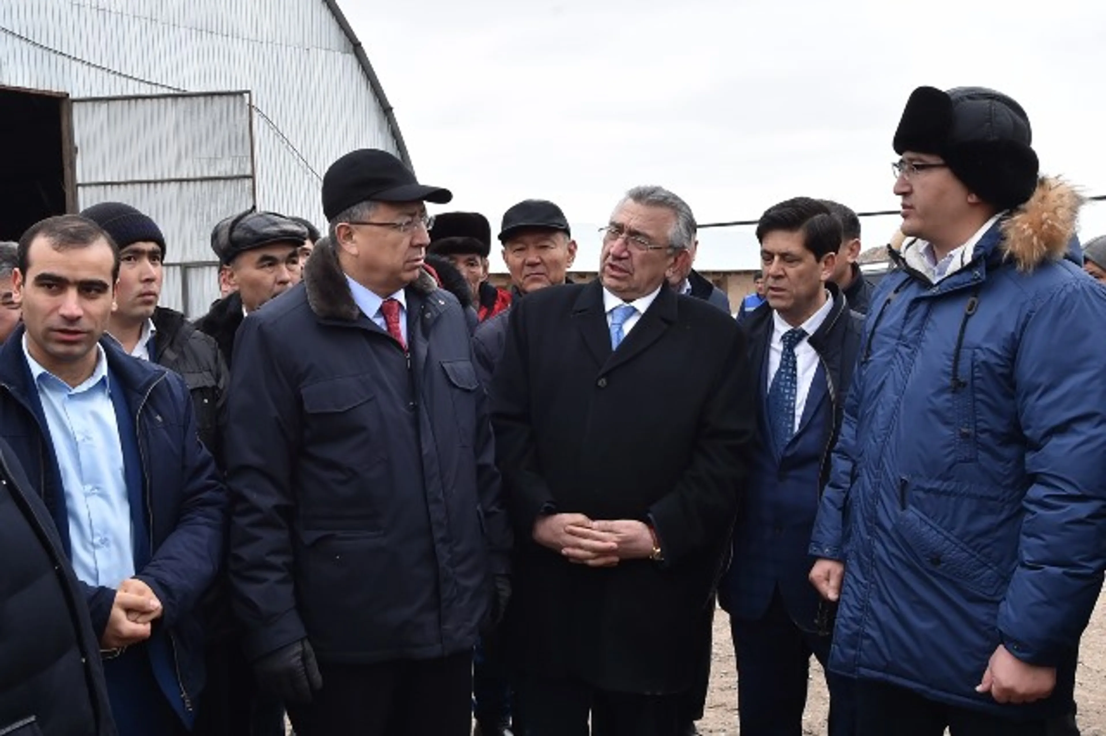 Капитал - ЮКО планирует поставлять в Иран 20 тысяч тонн мяса в год