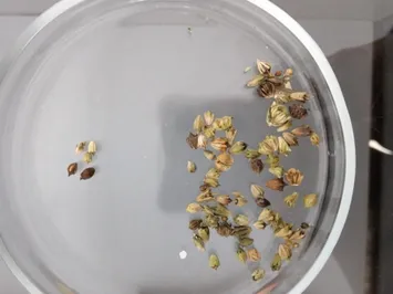 Фото: Комитет госинспекции в АПК