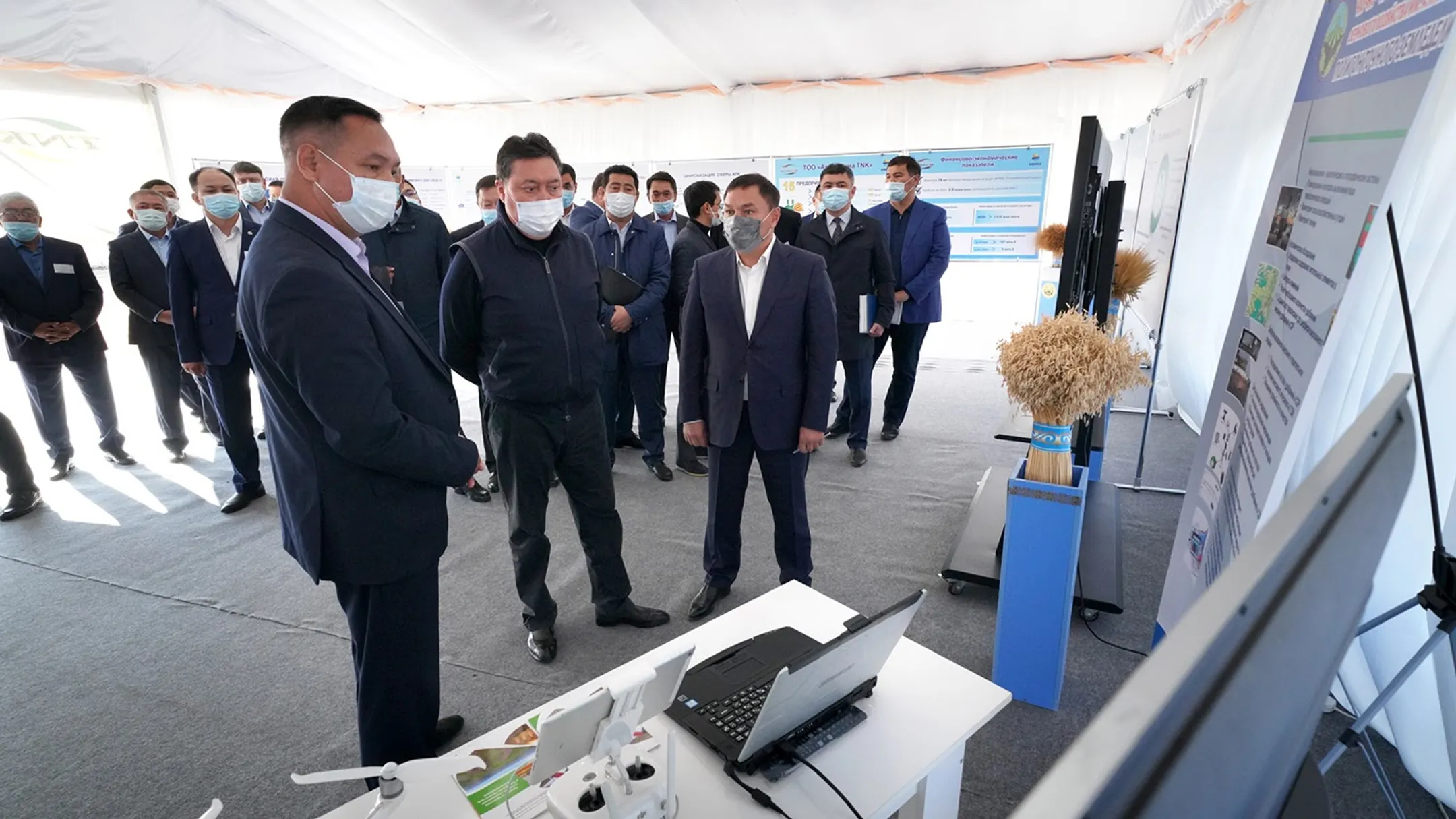 В Акмолинской области собрано почти 3 млн тонн зерна - Image Kapital.kz