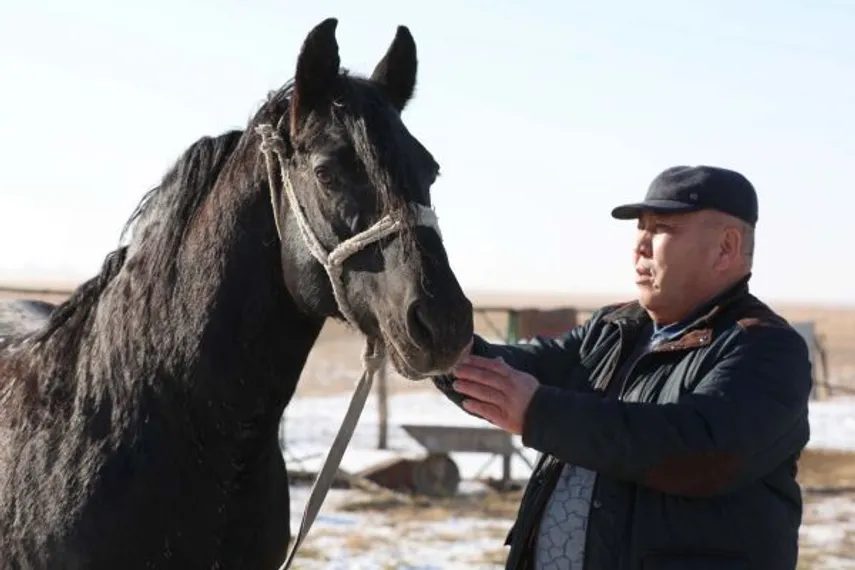 Капитал - История хозяйства «Шаушен»: заработать, чтобы помочь району