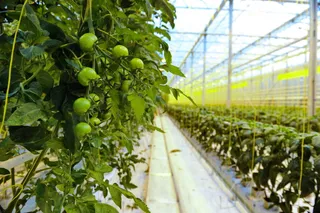 Фото: Владимир Третьяков