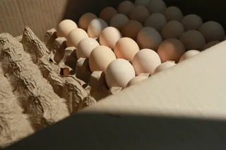 Фото: Руслан Пряников