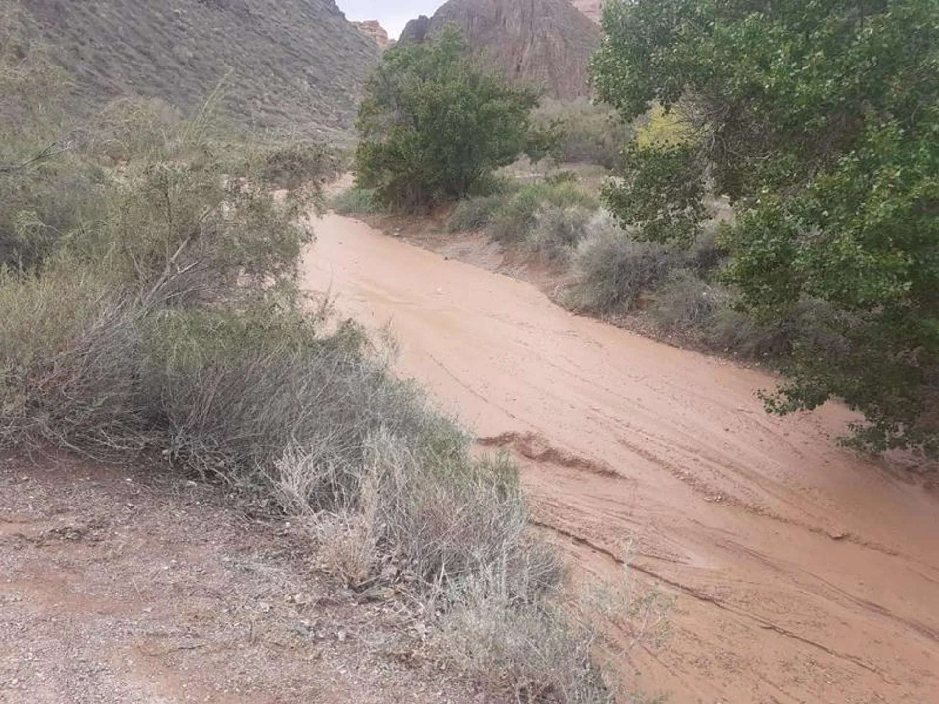 Капитал - Пропавшую девочку спасли в Чарынском каньоне