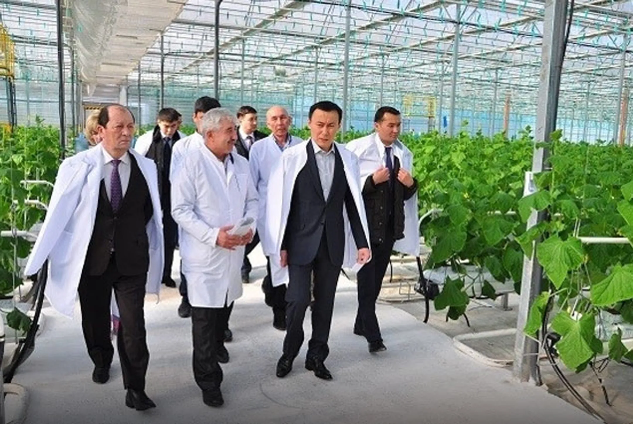 Асылжан Мамытбеков посетил южный Казахстан - Image Kapital.kz