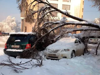 Капитал - Алматы всегда не везло с акимами