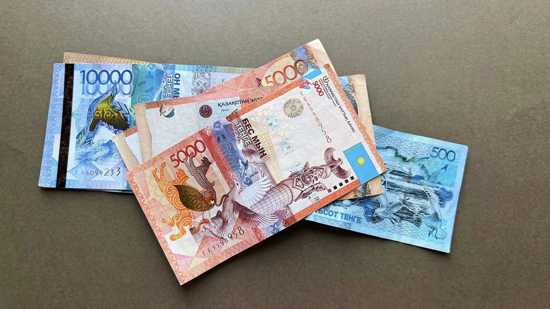 Фото: Валерия Змейкова