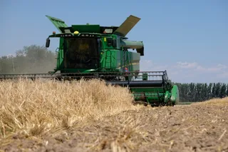 Капитал - Готова ли страна к полному импортозамещению сельхозпродуктов?