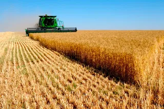 Капитал - Накал политических страстей сказывается на ценах