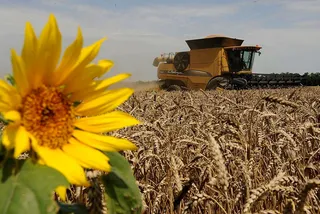 Капитал - Санкции оказались для Сербии уникальным шансом