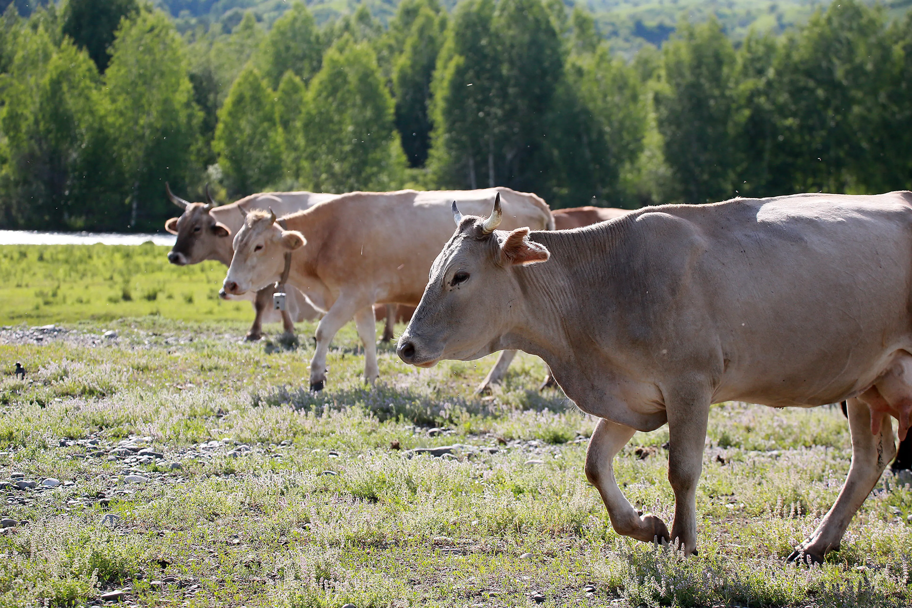 Фото: Руслан Пряников