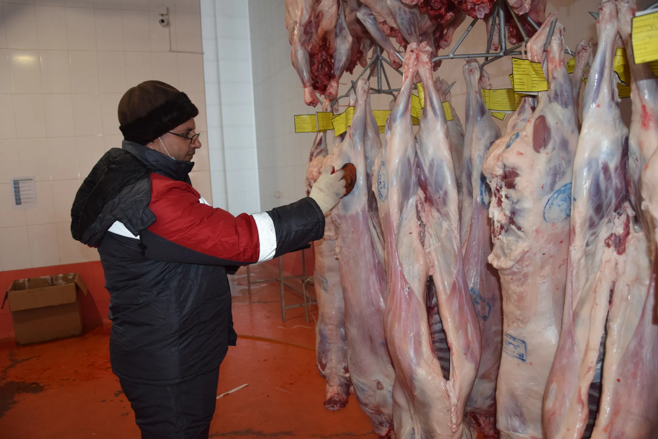 Фермеры Южного Казахстана наращивают экспорт мяса в Иран - Image Kapital.kz