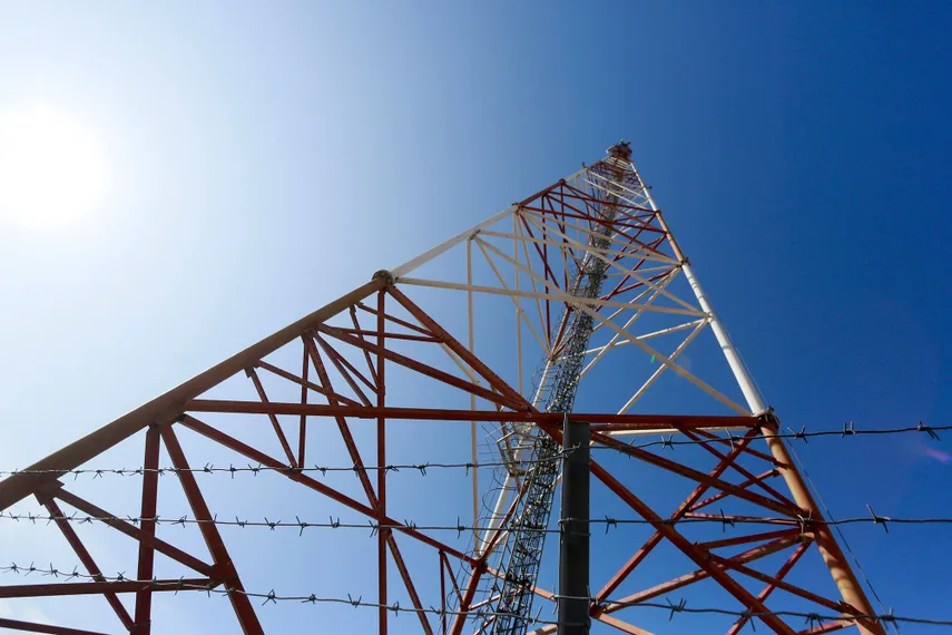 Фото: Руслан Пряников