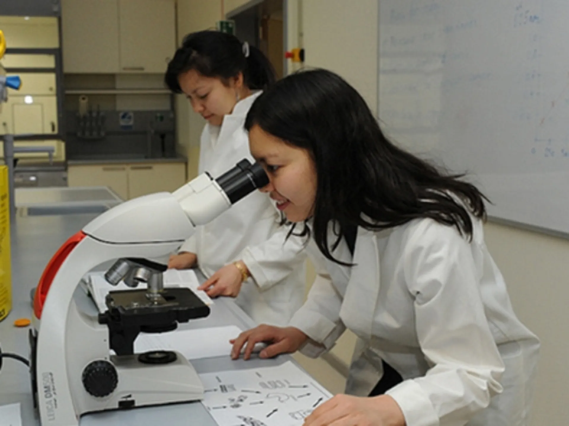 Капитал - В Казахстане разрабатывается программа развития науки