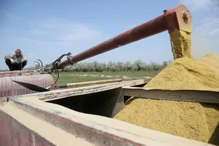 Фото: Руслан Пряников