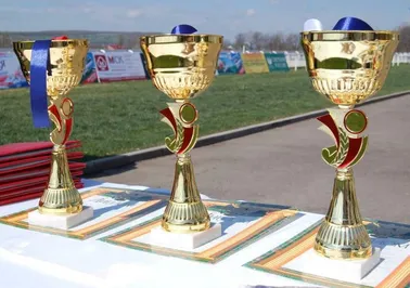 Сколько стоит Олимпиада и кому она приносит дивиденды?