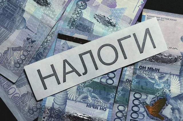 Фото: Валерия Змейкова