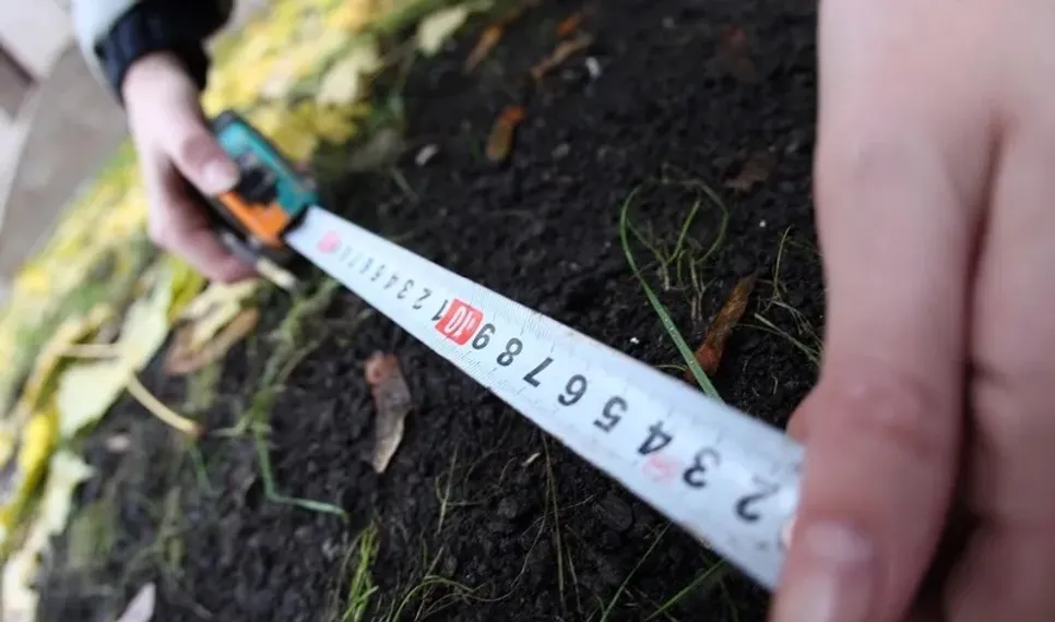 Капитал - С начала года в госсобственность вернули 891 тыс. га неиспользуемых земель