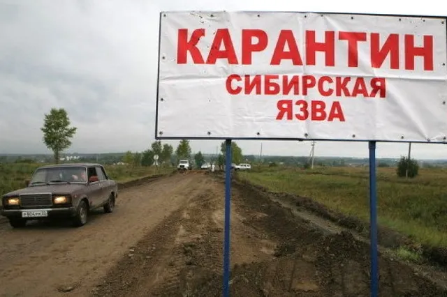 На зимовке в Карагандинской области объявлен карантин