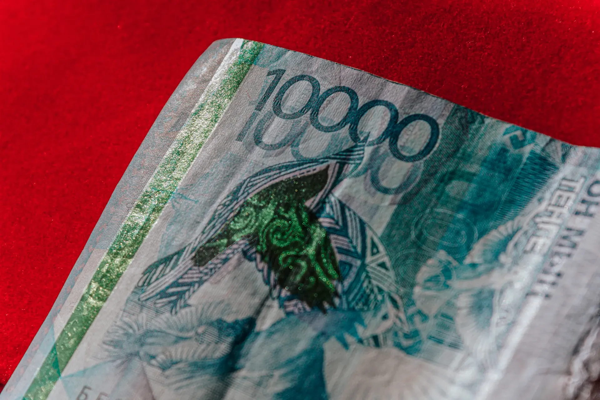 Капитал - Незаконное получение субсидий выявили в Туркестанской области