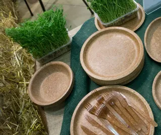 Заработать на съедобном