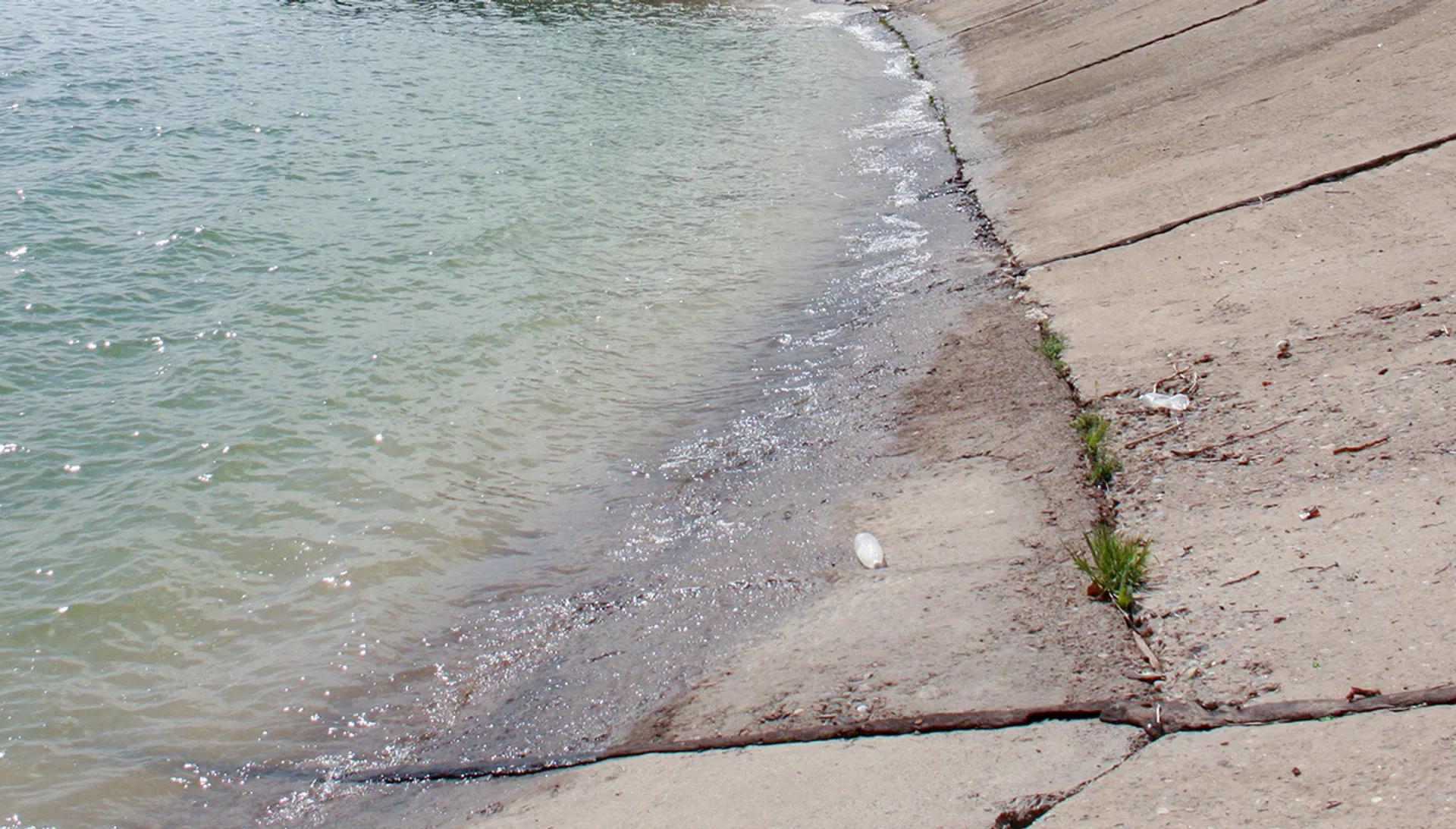 Фото: Руслан Пряников