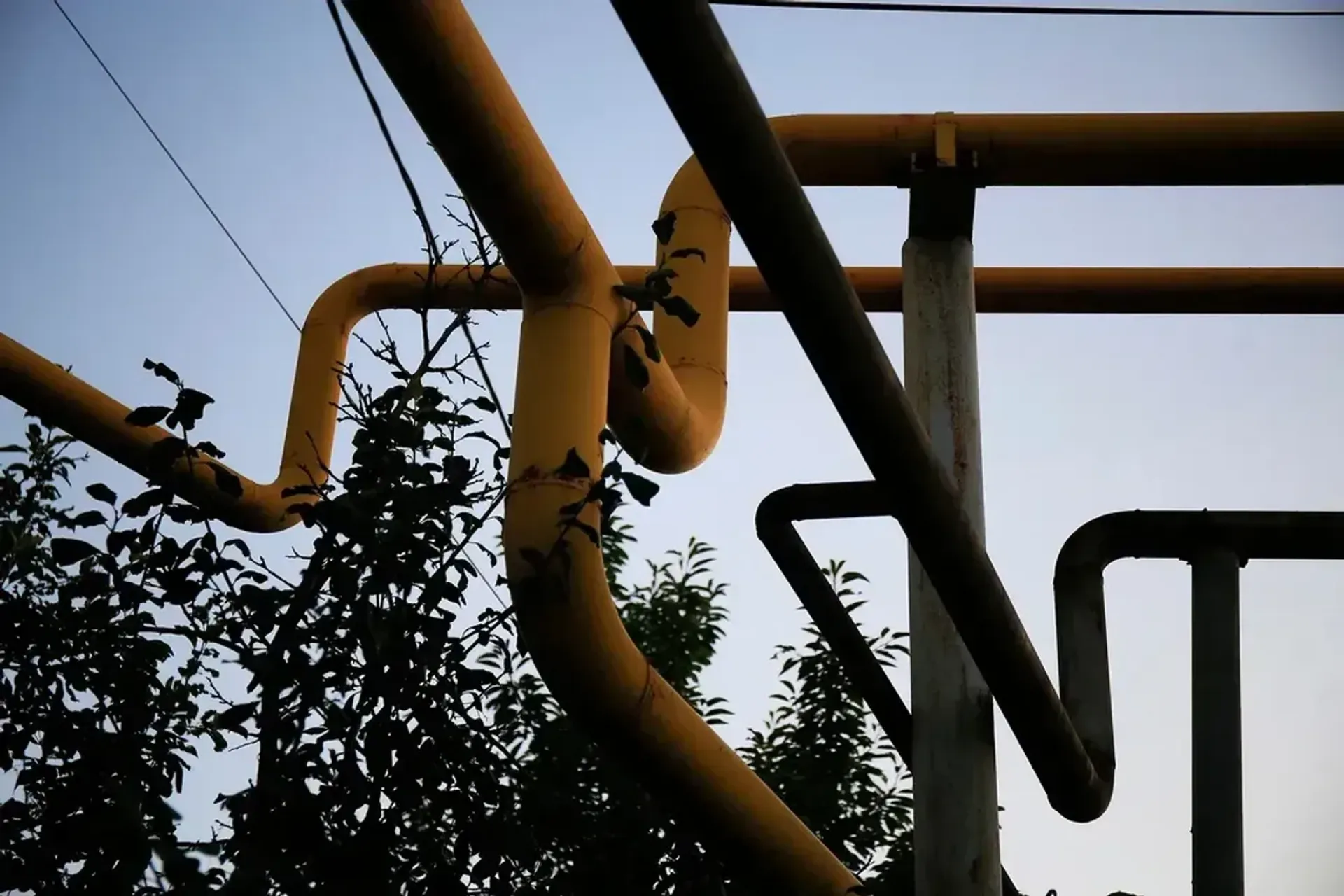 Фото: Руслан Пряников