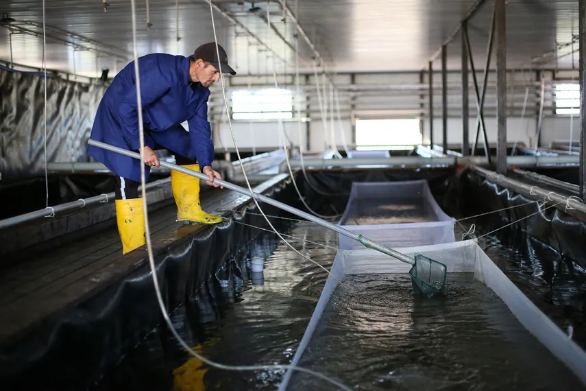 Фото: Руслан Пряников