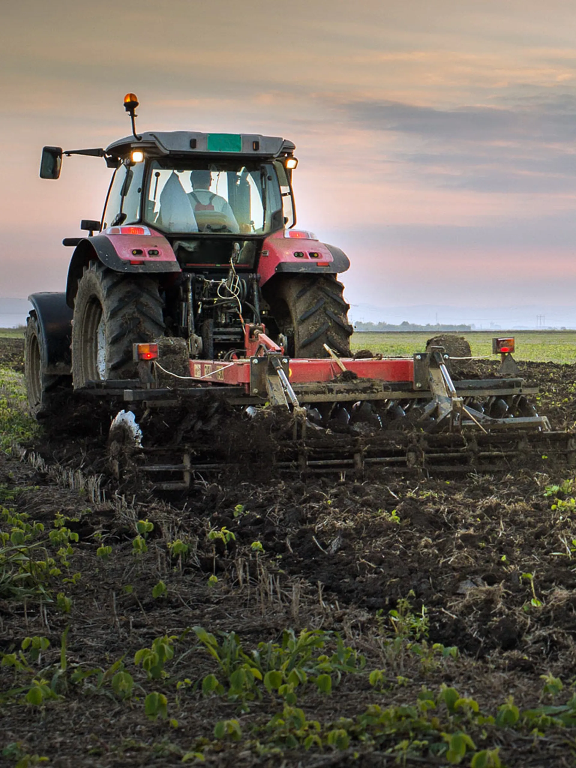 Капитал - Почему открытия аграрных ученых не продаются?