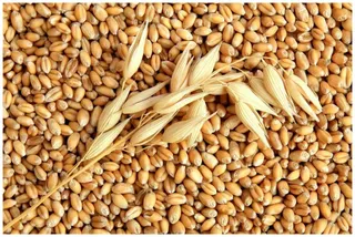 Капитал - Мировые цены на продовольствие в ноябре снизились на 10,7% - ФАО