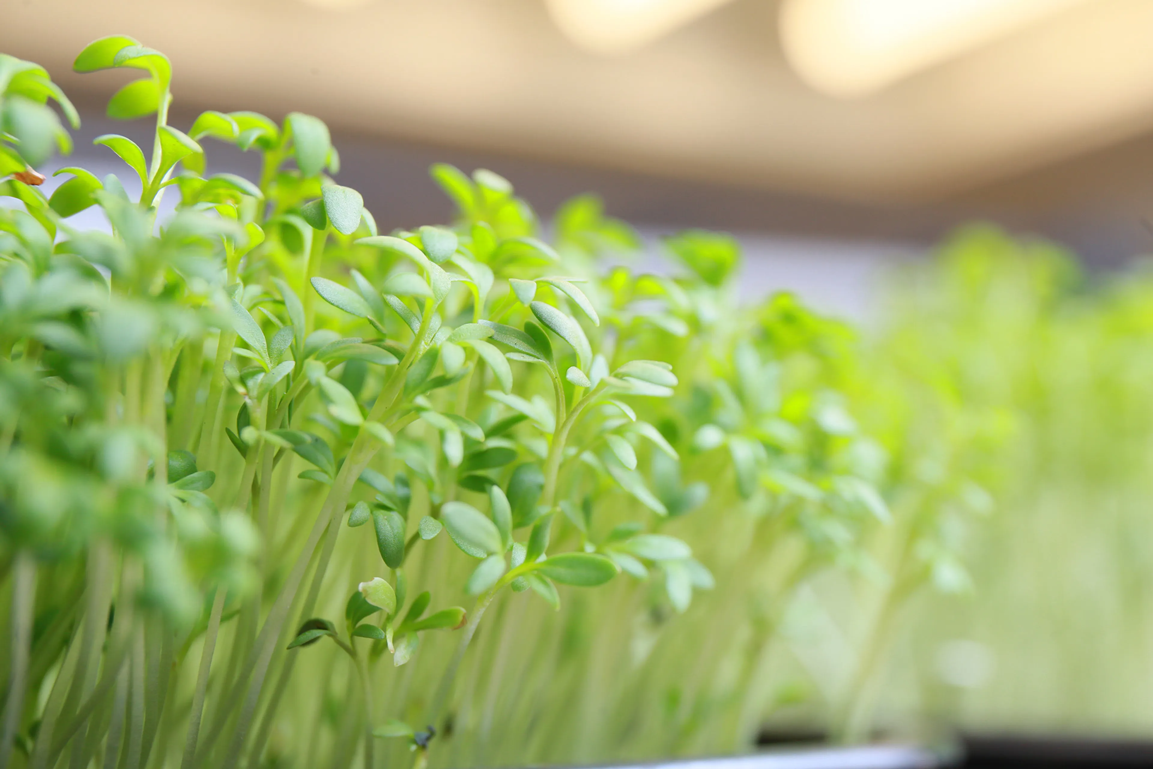 Фото: Руслан Пряников