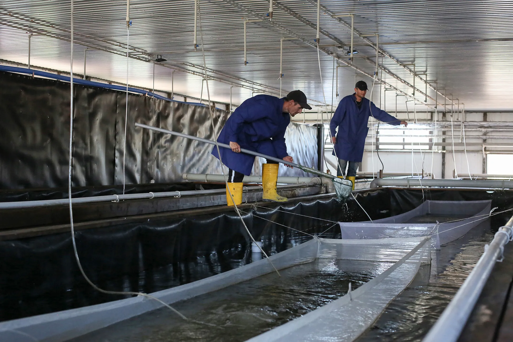 Фото: Руслан Даленов