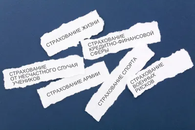 Эбола, киберпреступления и опасность «залить соседа»