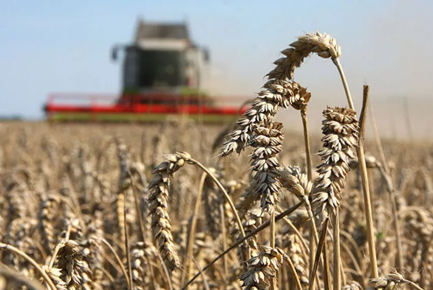 Капитал - АПК частично компенсируют расходы