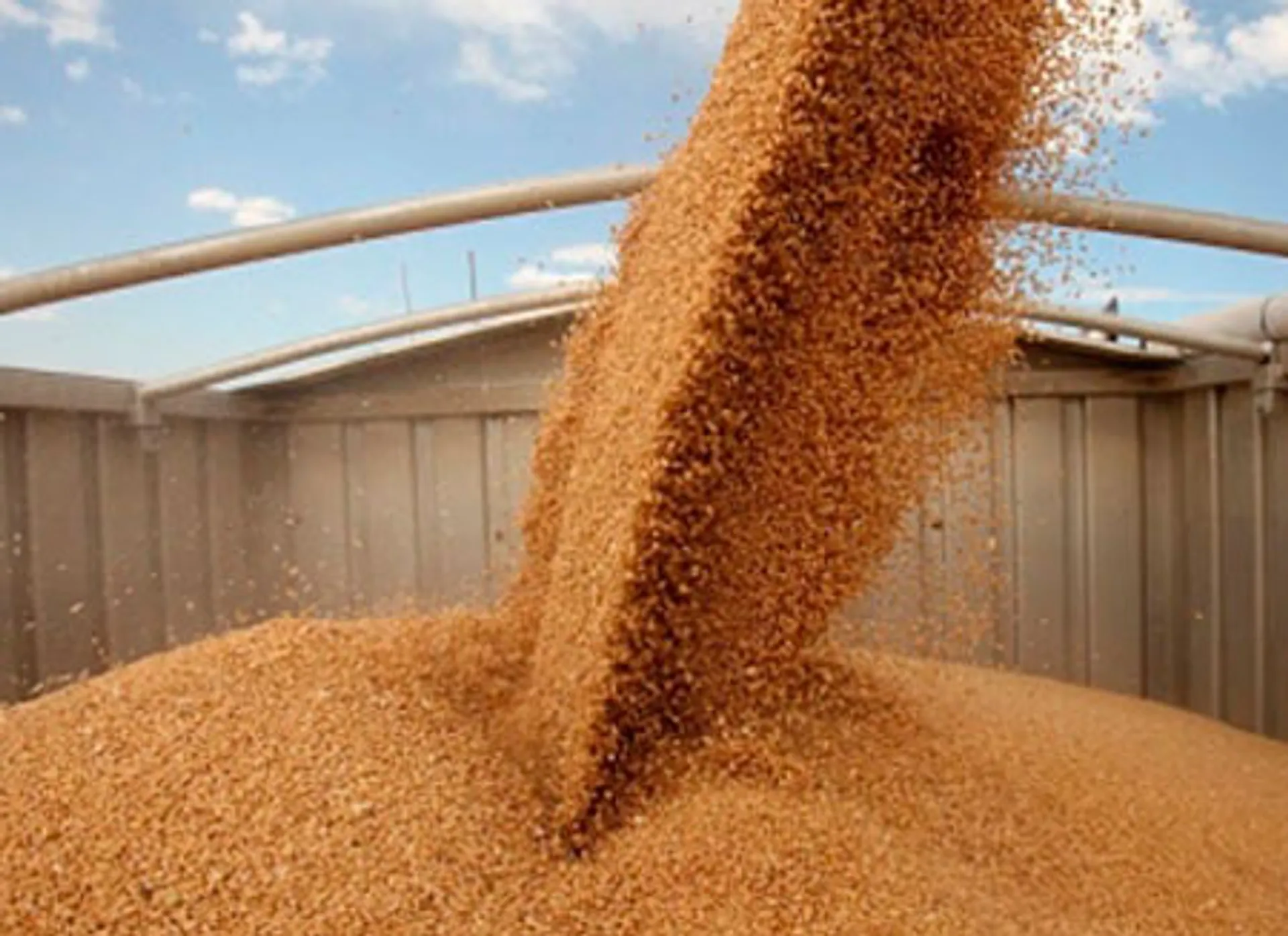 Капитал - 48 элеваторов не готовы к приему урожая