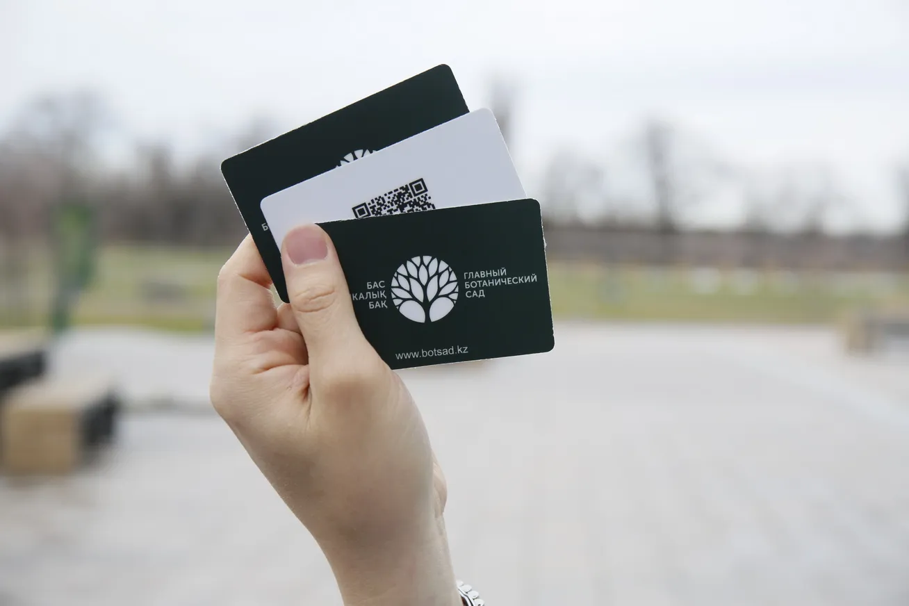 На фото: Абонементы <br>