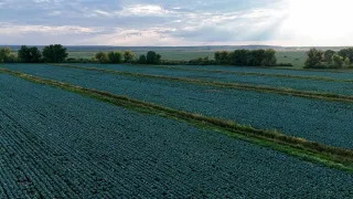 Фото: пресс-служба премьер-министра РК 